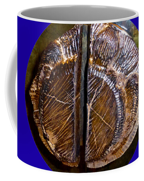 Wood Coffee Mug featuring the photograph Wood Carved fossil by Francesca Mackenney