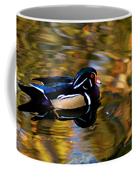 Clay Coffee Mug featuring the photograph Wood Duck by Clayton Bruster