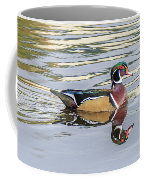 Wood Duck Coffee Mug featuring the photograph Wood Duck by Pamela S Eaton-Ford