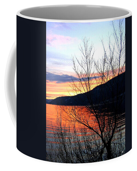 Sunset Coffee Mug featuring the photograph Wood Lake Sunset by Will Borden