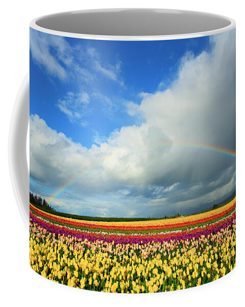 Rainbow Coffee Mug featuring the photograph Wooden Shoe Rainbow by Patrick Campbell
