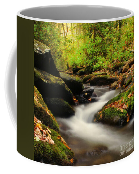 Autumn Coffee Mug featuring the photograph Woodland Fantasies by Darren Fisher