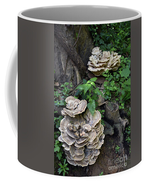 Scenic Coffee Mug featuring the photograph Woodland Growth by Skip Willits
