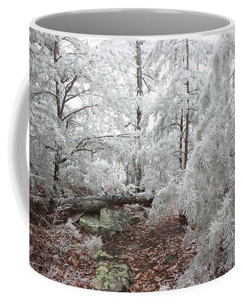 Frost Coffee Mug featuring the photograph Woodland Wonder by Mike Eingle