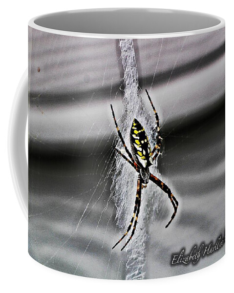  Coffee Mug featuring the photograph Writing Spider by Elizabeth Harllee