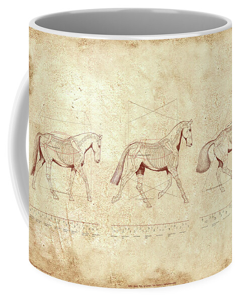 Horse Coffee Mug featuring the painting WTC, Walk, Trot, Canter, The Horse's Gaits Revealed by Catherine Twomey