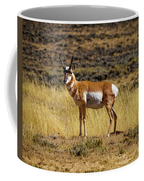 Wyoming Coffee Mug featuring the photograph Wyoming Pronghorn Buck by Ronald Lutz