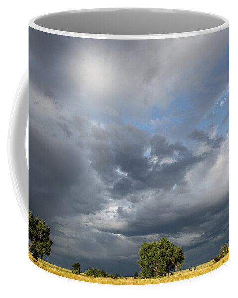  Coffee Mug featuring the photograph Wyoming Sky by Diane Bohna