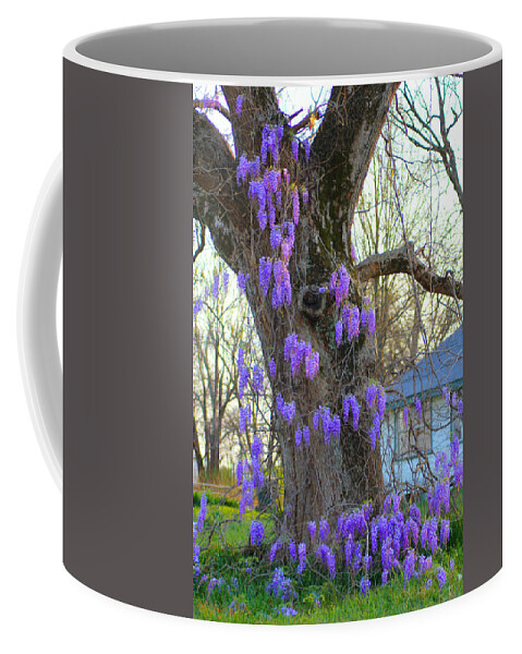 Wysteria Coffee Mug featuring the photograph Wysteria Tree by Karen Wagner