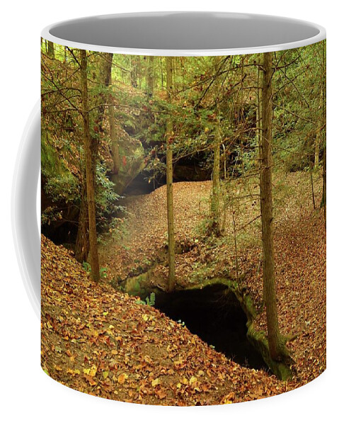 Yahoo Falls Coffee Mug featuring the photograph Yahoo Falls Park Arch by Stacie Siemsen