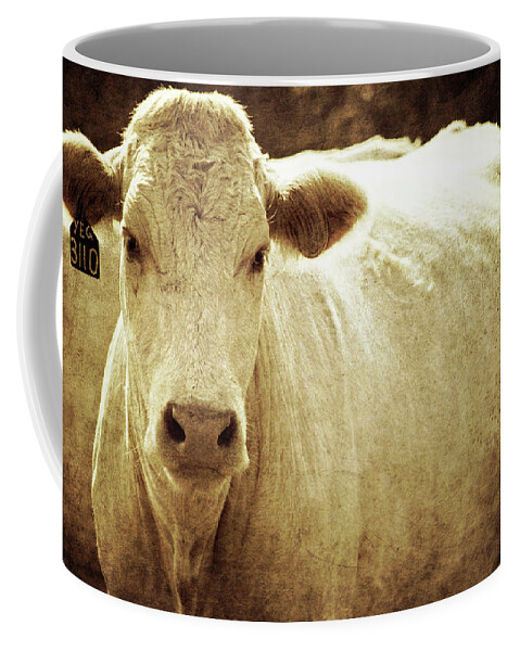 Cow; Herd; Cattle; Texture; Textures; Moody; Face; Animals; Animal; Farm; Texas; Country; Rural; Cows; Countryside; Nature; Landscape; Barnyard; Mammal; Livestock; Farming; White; Agriculture; Farmland; Land; Beef; Meat; Ranch; American; America; Vegetation; Food; Domestic Coffee Mug featuring the photograph Yeg 3110 by Trish Mistric