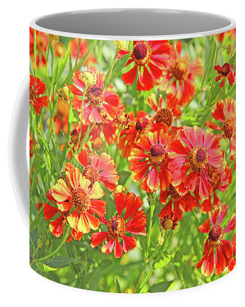 Yellow And Orange Blanket Flowers Bright Green Foliage Background Coffee Mug featuring the photograph Yellow and Orange Blanket Flowers Bright Green Foliage Background 2952017 by David Frederick