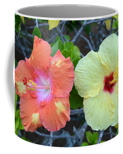 Flower Coffee Mug featuring the photograph Yellow and Orange Hibiscus Flowers by Amy Fose