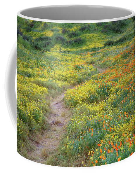Wildflower Coffee Mug featuring the photograph Yellow and orange wildflowers along trail near Diamond Lake by Jetson Nguyen