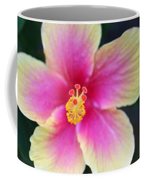 Flower Coffee Mug featuring the photograph Yellow and Pink Hibiscus 2 by Amy Fose