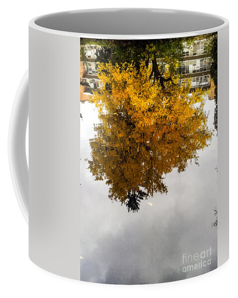 Autumn Coffee Mug featuring the photograph Yellow Art Reflected by Joseph Yarbrough