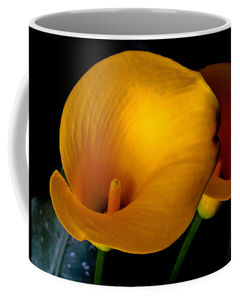 Flowers Coffee Mug featuring the photograph Yellow Calla Lilies - 02 by Tony Grider