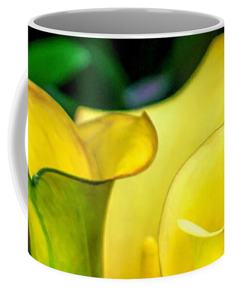Spring Flowers Coffee Mug featuring the photograph Yellow Calla Lilies by Az Jackson