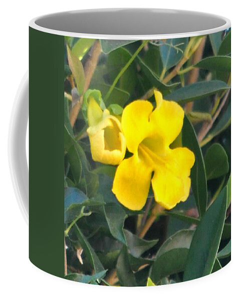 Garden Coffee Mug featuring the photograph Yellow Cat's Paw Vine by Jay Milo