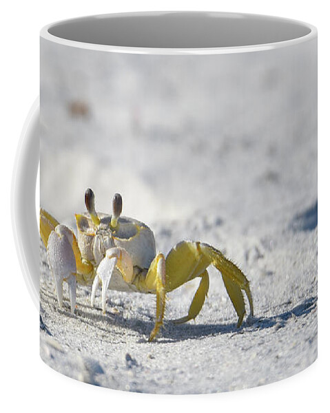 Crab Coffee Mug featuring the photograph Yellow Crab by Artful Imagery