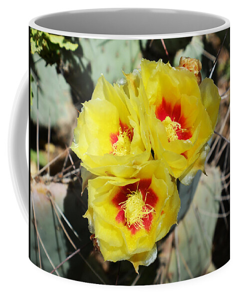 Cactus Coffee Mug featuring the photograph Yellow Desert Blooms by Aimee L Maher ALM GALLERY