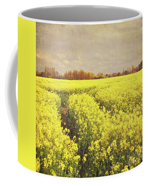 Yellow Coffee Mug featuring the photograph Yellow Field by Lyn Randle