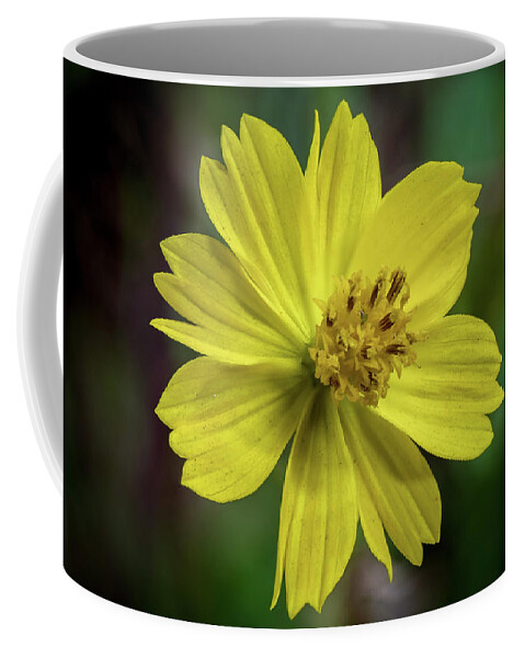 Background Coffee Mug featuring the photograph Yellow Flower by Ed Clark