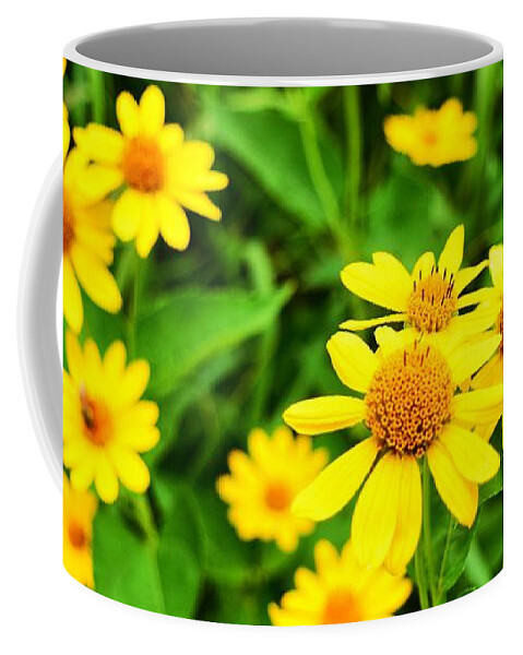 Yellow Flowers Coffee Mug featuring the photograph Yellow Flowers No. 2 by Sandy Taylor