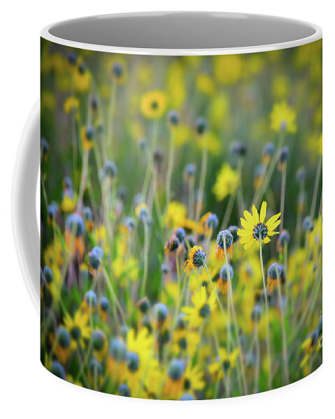 Spring Coffee Mug featuring the photograph Yellow Flowers by Kelly Wade