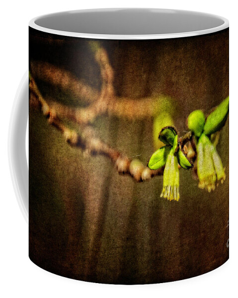 Attribute Coffee Mug featuring the photograph Yellow fringed blossom by Mary Machare