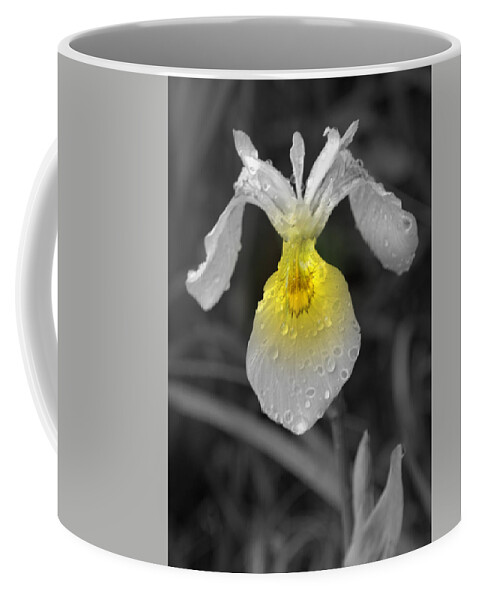 Flower Coffee Mug featuring the photograph Yellow Iris by Kimberly Woyak
