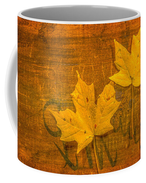 Yellow Leaves On Wood Still Life Coffee Mug featuring the photograph Yellow Leaves on Wood Still Life by Randy Steele