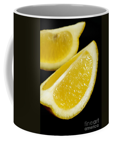 Botany Coffee Mug featuring the photograph Yellow Lemon Citrus Aurantifolia by Gerard Lacz