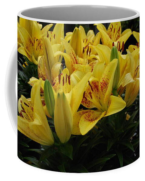 Yellow Lilies Coffee Mug featuring the photograph Yellow Lilies by Ee Photography