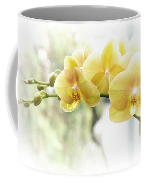 Orchid Coffee Mug featuring the photograph Yellow Moth Orchids in the Sun by Carol Senske