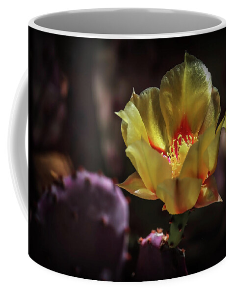 Cacti Coffee Mug featuring the photograph Yellow N Red by Elaine Malott
