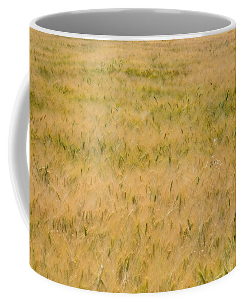 Abstract Coffee Mug featuring the photograph Yellow nature abstract background by Michalakis Ppalis