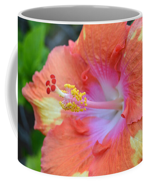 Flower Coffee Mug featuring the photograph Yellow Orange Hibiscus by Amy Fose