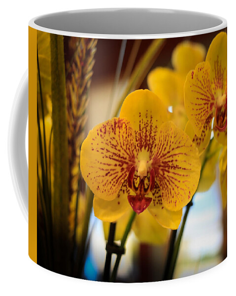 Orchid Coffee Mug featuring the photograph Yellow Orchis by Lora Lee Chapman