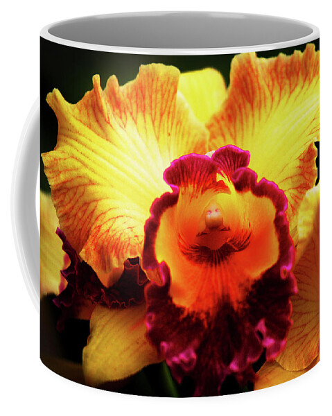 Hawaii Coffee Mug featuring the photograph Yellow-Purple Orchid by Anthony Jones