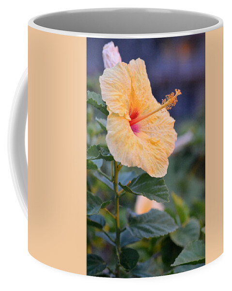 Flower Coffee Mug featuring the photograph Yellow Red Hibiscus Profile by Amy Fose
