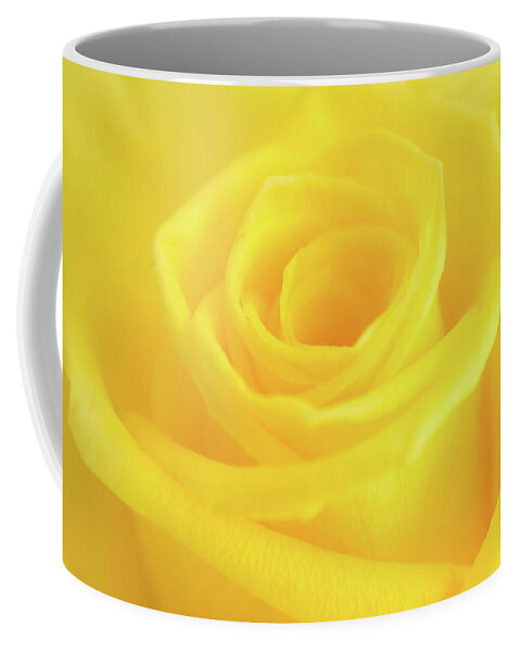 Yellow Rose Coffee Mug featuring the photograph Yellow Rose by Andy Myatt