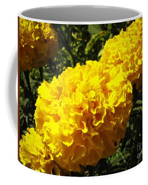 Flower Coffee Mug featuring the photograph Yellow Streak by Robert Knight