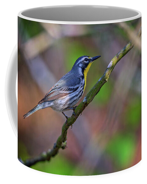 Yellow-throated Warbler Coffee Mug featuring the photograph Yellow-throated Warbler by Rick Berk