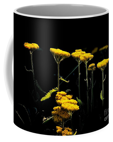 500 Views Coffee Mug featuring the photograph Yellow Tops by Jenny Revitz Soper