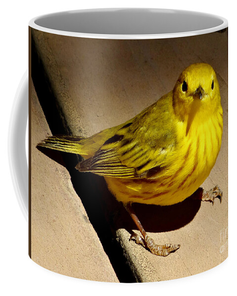 © 2017 Coffee Mug featuring the photograph Yellow Warbler by Christopher Plummer