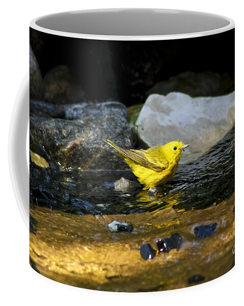 Warbler Coffee Mug featuring the photograph Yellow Warbler by Teresa Zieba