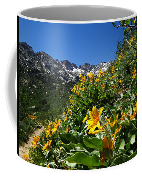 Island Lake Coffee Mug featuring the photograph Yellow Wildflowers by Alan Socolik