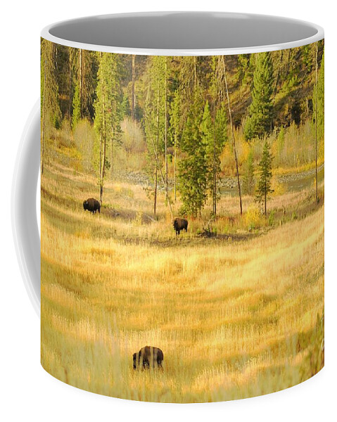 Yellowstone National Park Coffee Mug featuring the photograph Yellowstone Bison by Merle Grenz