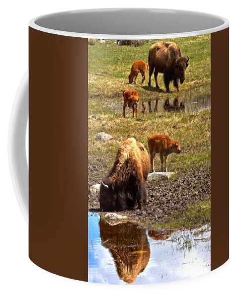 Bison Coffee Mug featuring the photograph Yellowstone Bison Reflections by Adam Jewell